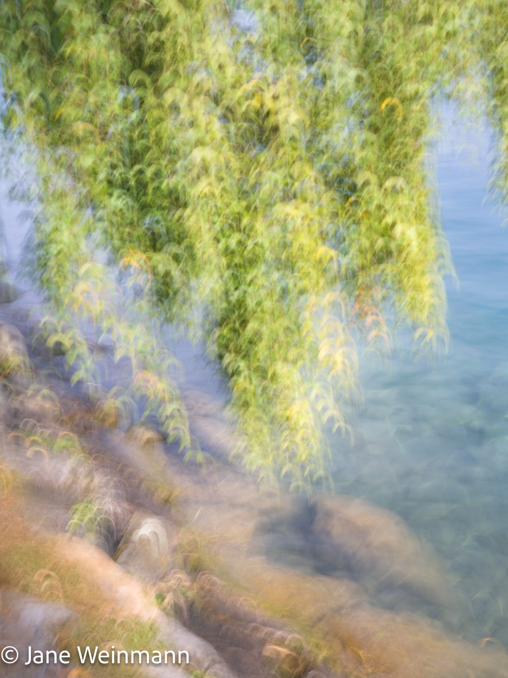 Fluid Shores 3_Copyright Jane Weinmann.jpg