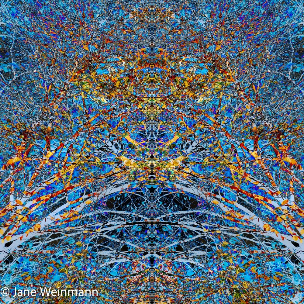 Woodland Mosaics 4_Copyright Jane Weinmann.jpg