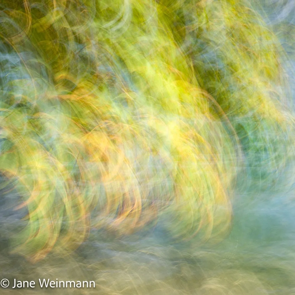 Fluid Shores 6_Copyright Jane Weinmann.jpg