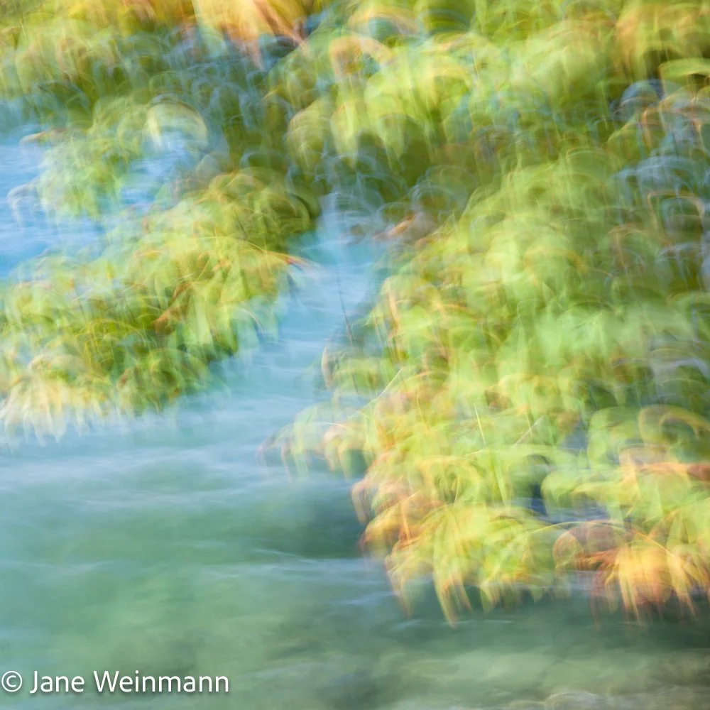 Fluid Shores 8_Copyright Jane Weinmann.jpg