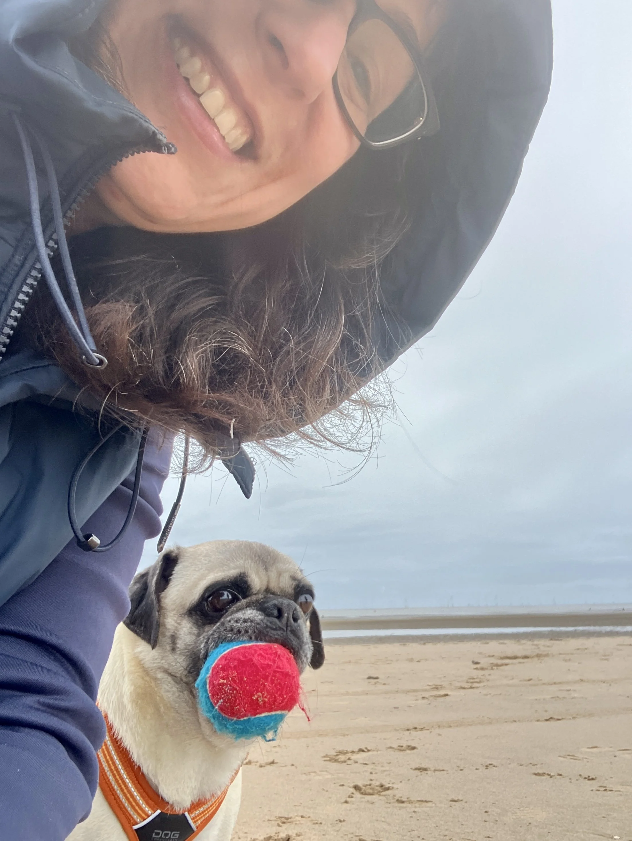 Terry is on a beach with a ball in his mouth. Kim is standing over him leaning into the frame.