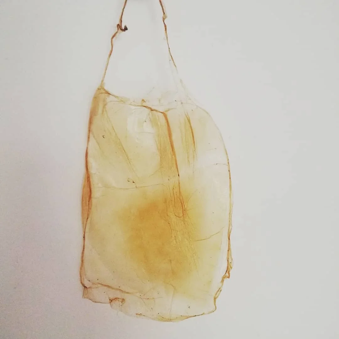 Bio-Materials research, exploring found natural ingredients to create bi-yarns, plastics, leathers and molding materials. Image: Kombucha leather
