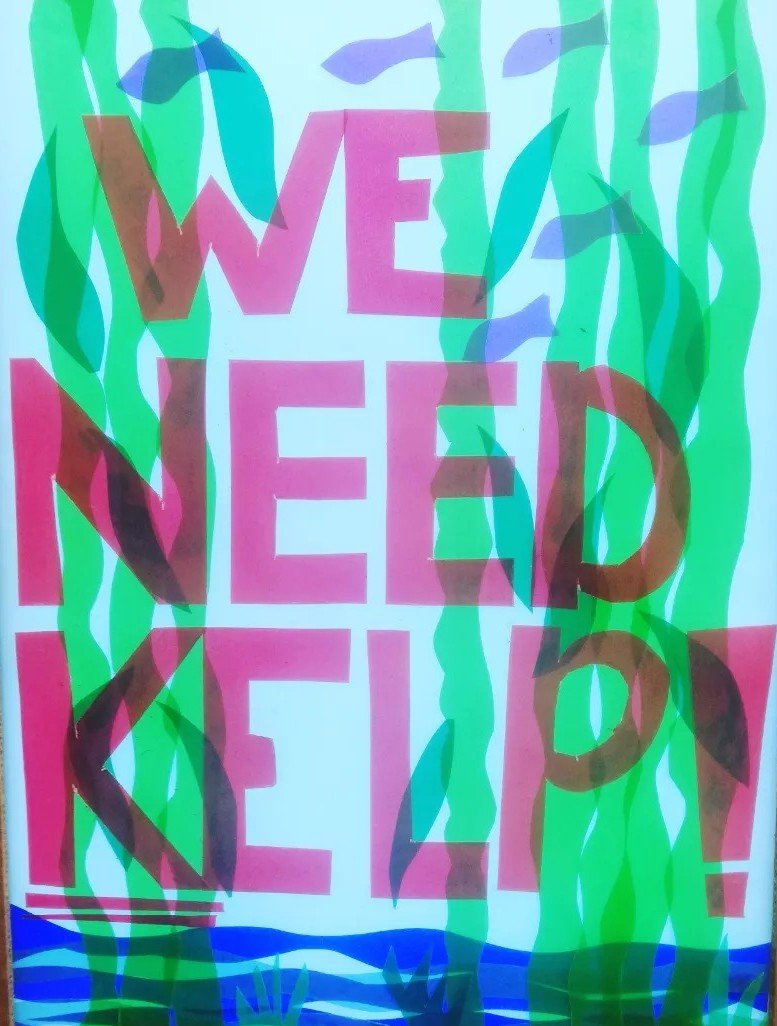 'PROTEST' A series of works that comment on the artists activist streak. 
Image: We need Kelp! Lightbox placard 2023