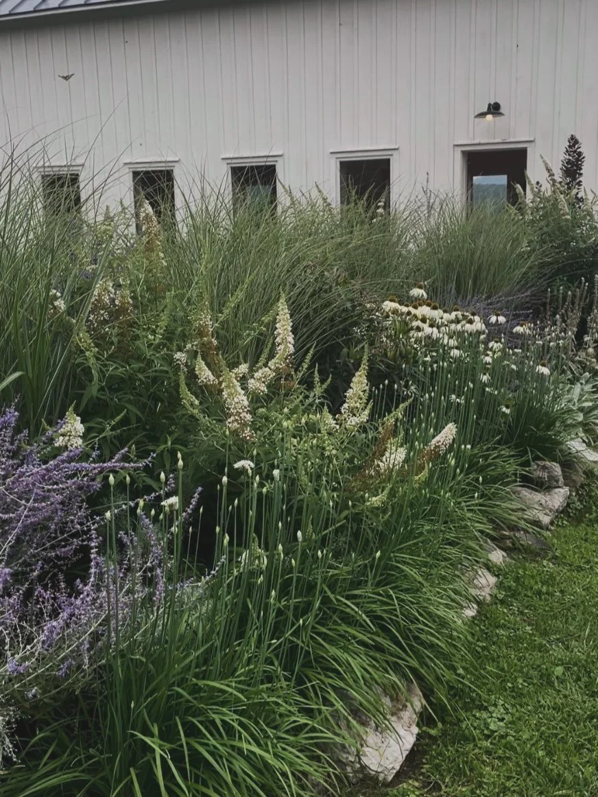 I still think about this dream garden we created a few years back. This was late August in it&rsquo;s fullest bloom.
