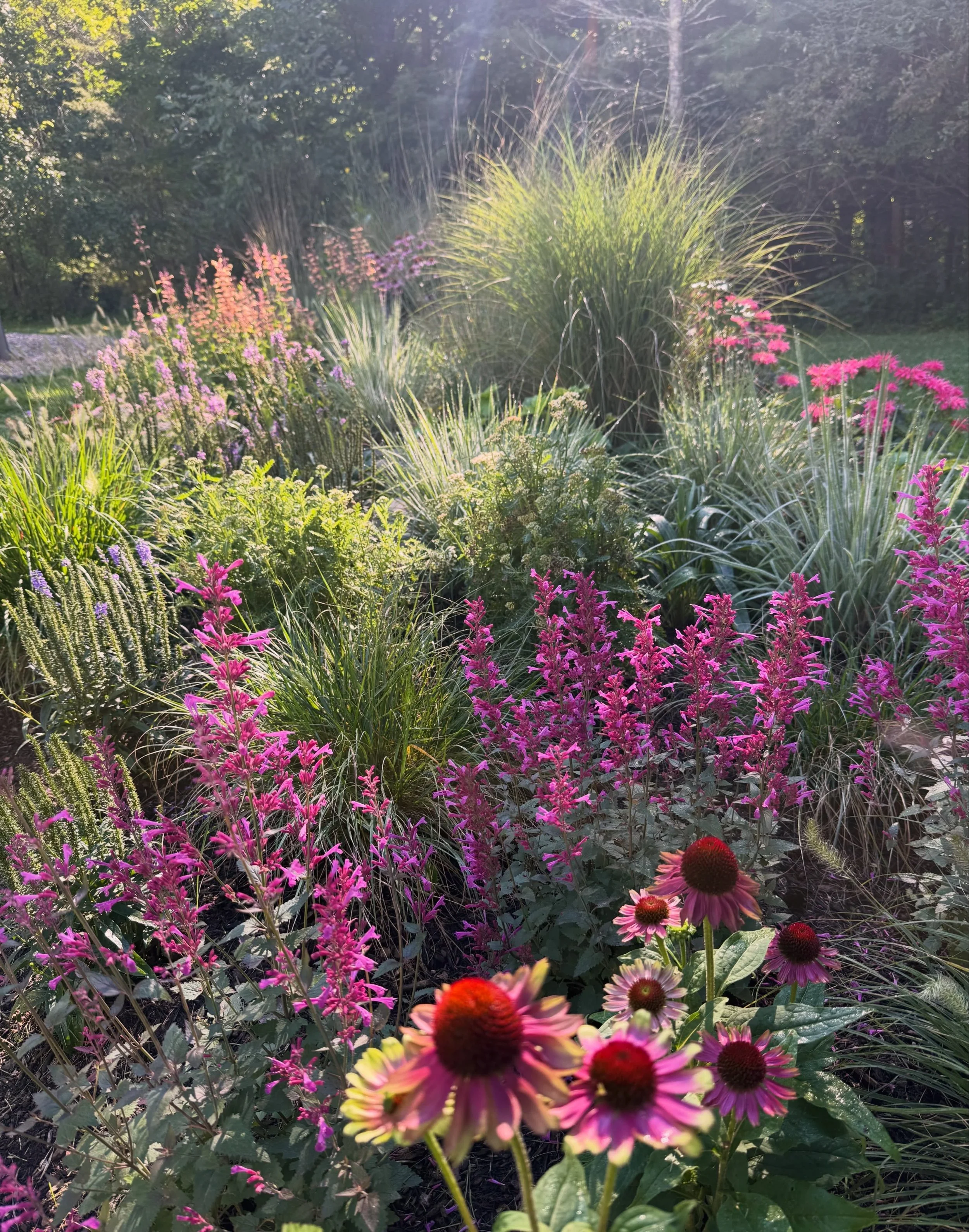 Few things are as wondrous and lovely as when a summer garden comes to bloom. This garden reigns supreme.