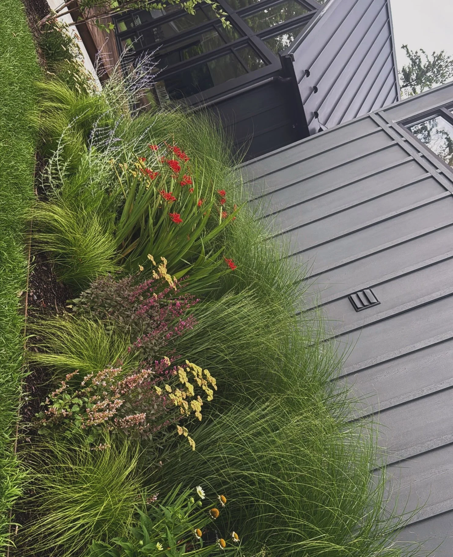 Field Notes Friday..Admiring the sweet sway of the grasses and the way they soften the darker edges of the exterior. &hearts;️