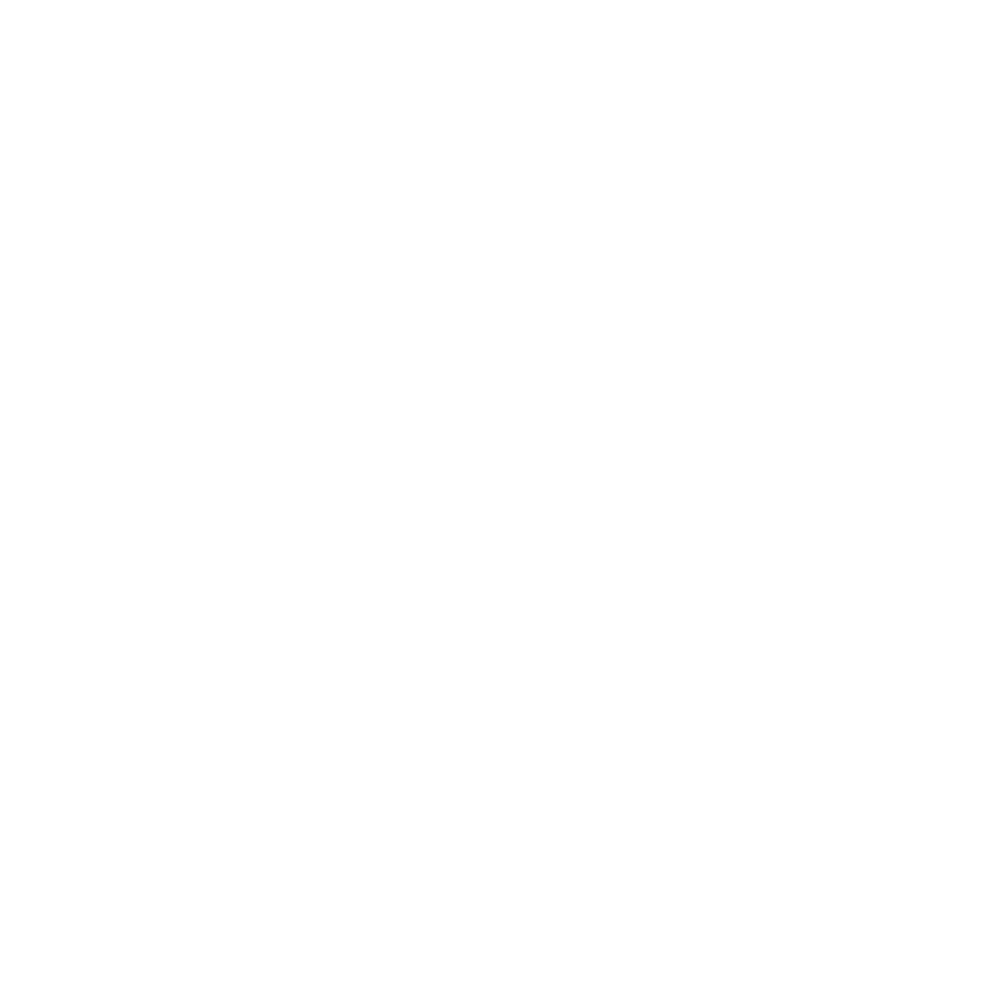 stefan olafsson stefansson - portfolio