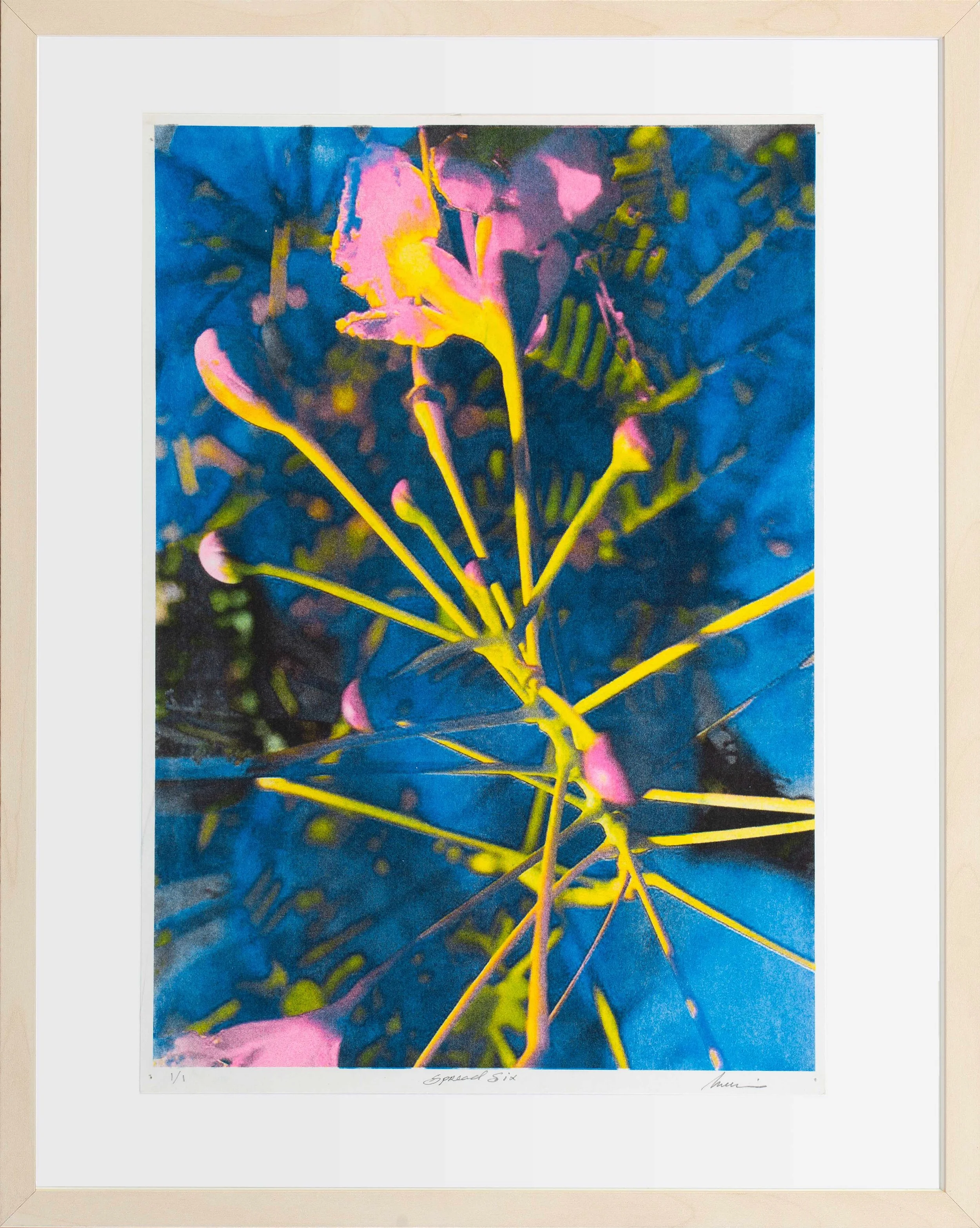 Risograph 8 | Risograph on watercolour paper | 42 X 52cm (framed) | KD 85 