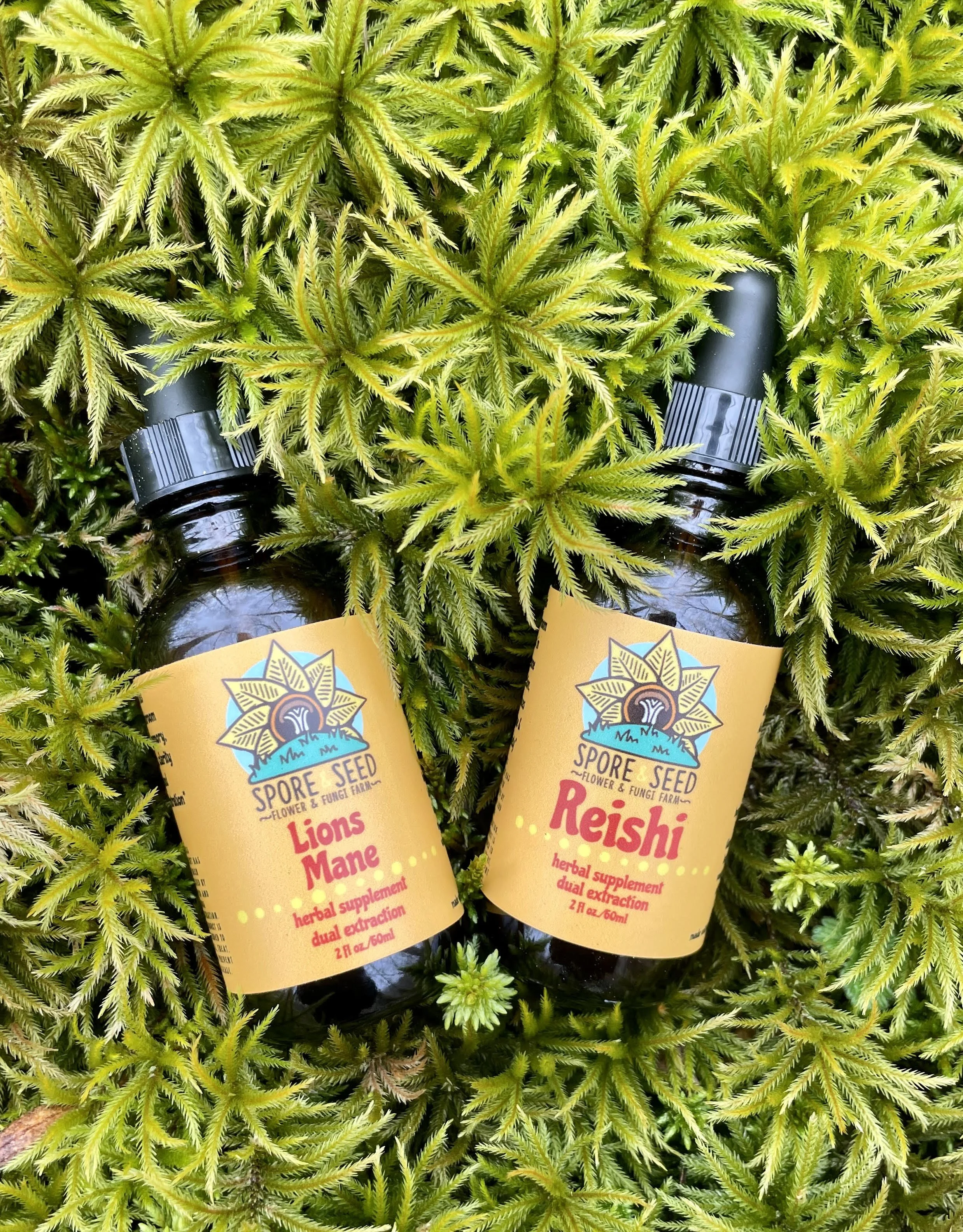 Mushroom Tincture