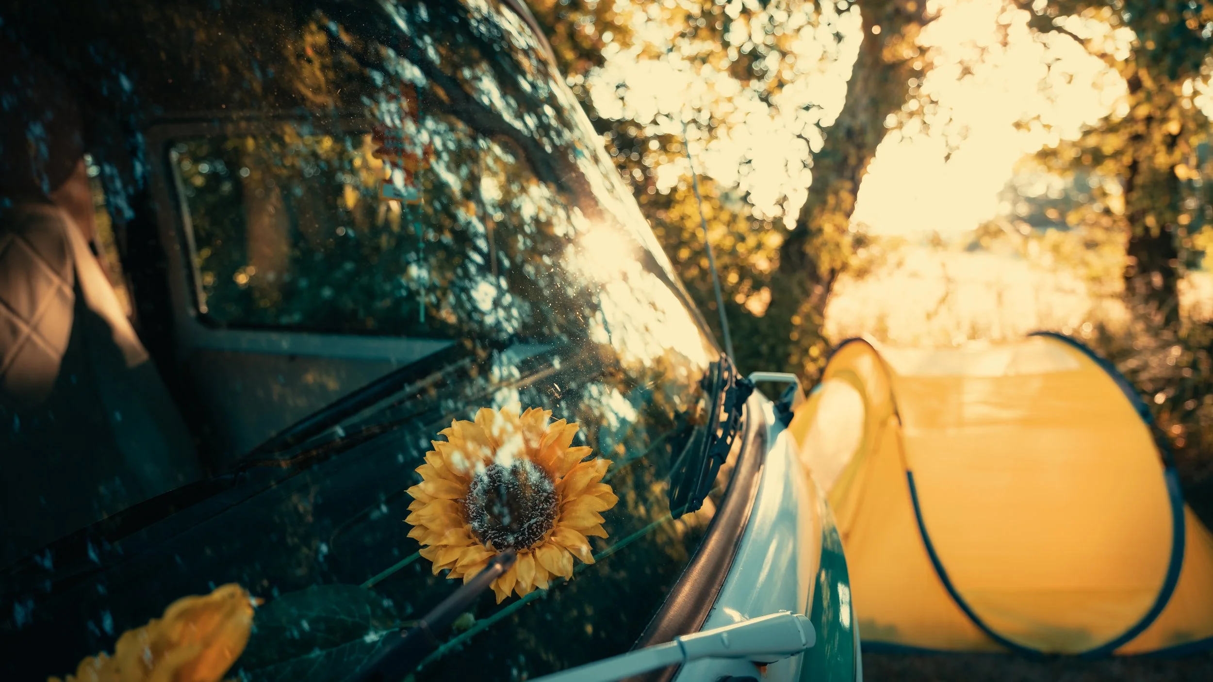 Een auto met een zonnebloemversiering op de motorkap, geparkeerd onder een boom met herfstbladeren, met een tent op de achtergrond, tijdens zonsondergang.
