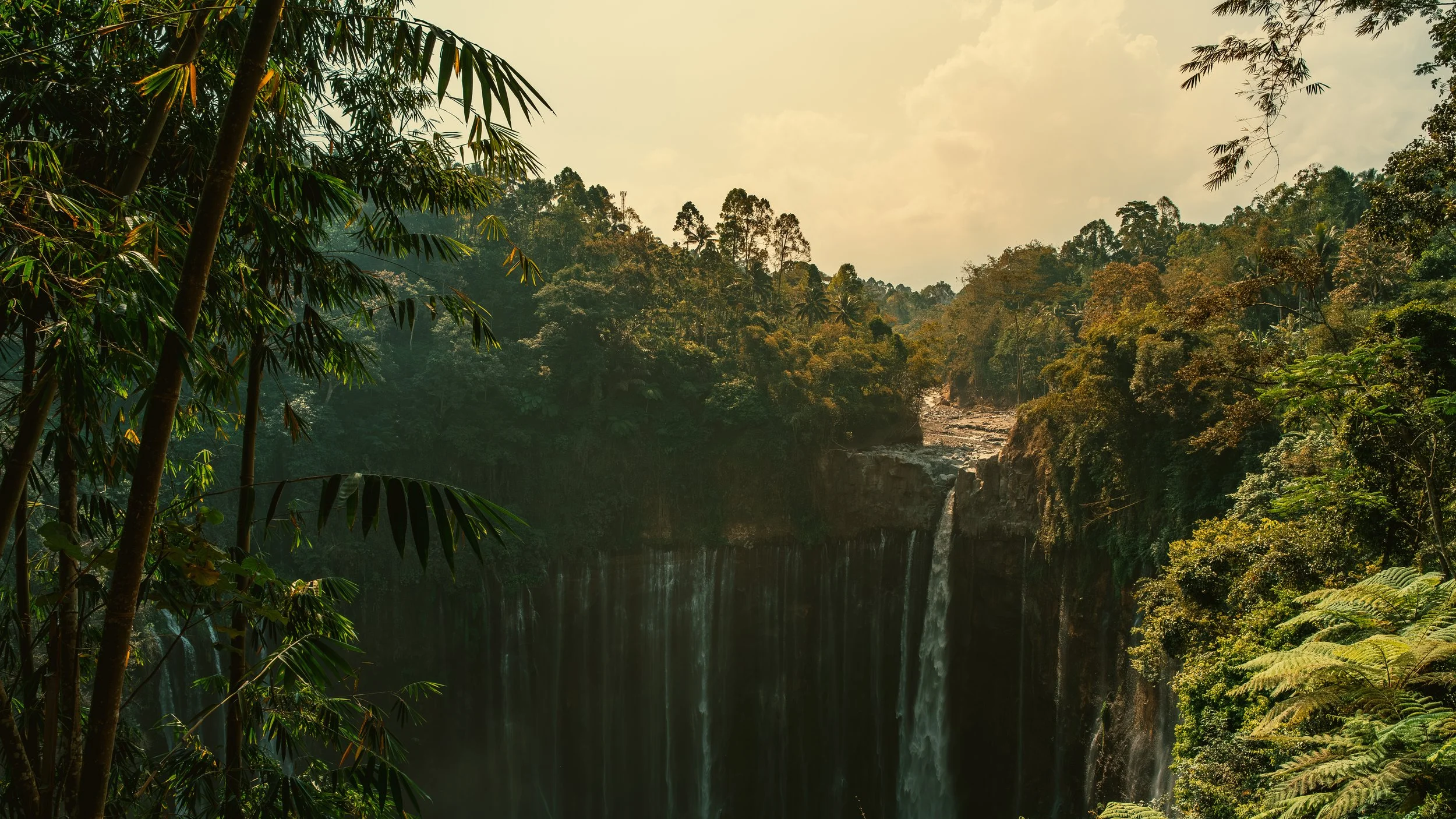 Bosrijke omgeving met een waterval in een kloof, omringd door groene bomen en planten onder een bewolkte hemel.