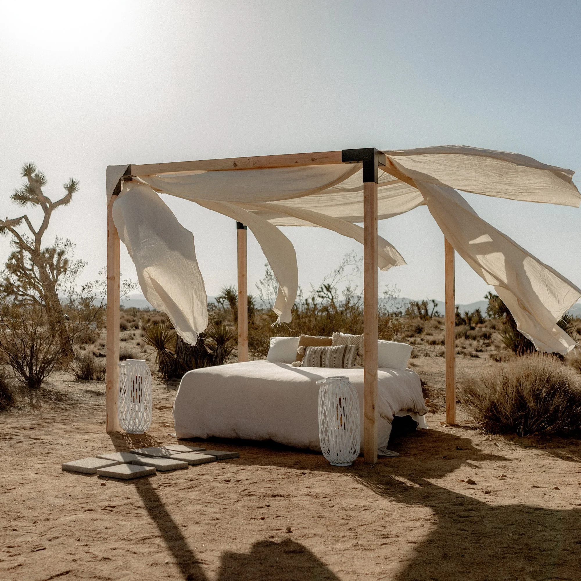 SensibleRest_2000x_factory_joshua_dogs__0026_Layer 4_v2.jpg