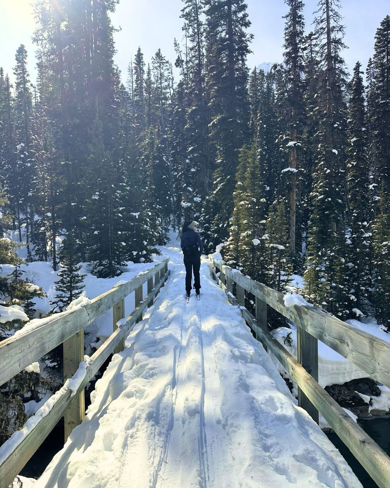 While spring pulls at our heart strings, I do enjoy many winter activities. Spring in Alberta isn&rsquo;t really spring until mid May. So we always have a little extra time to enjoy XC Skiing, Downhill skiing, Snowshoeing, brisk snowy walks outside. 