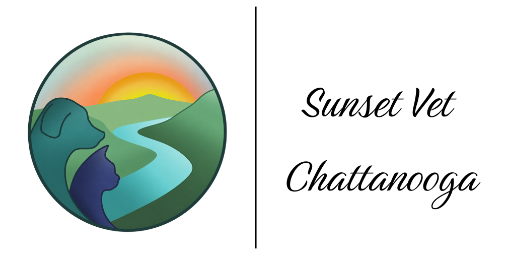 Sunset Vet Chattanooga