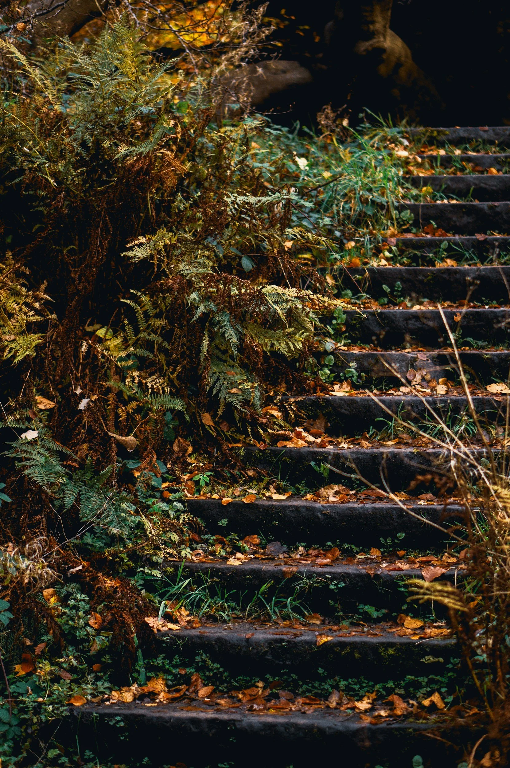 Progressive Approaches to Psychosis, Part 2: What  Care Looks Like
