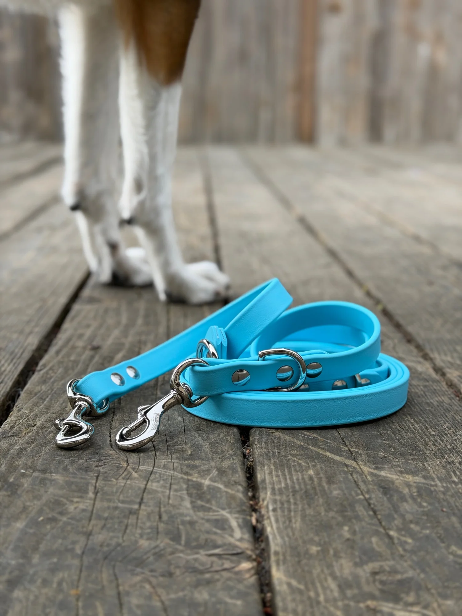 MARAUDER | Adjustable handsfree — Collie & Corso: Multi-Certified