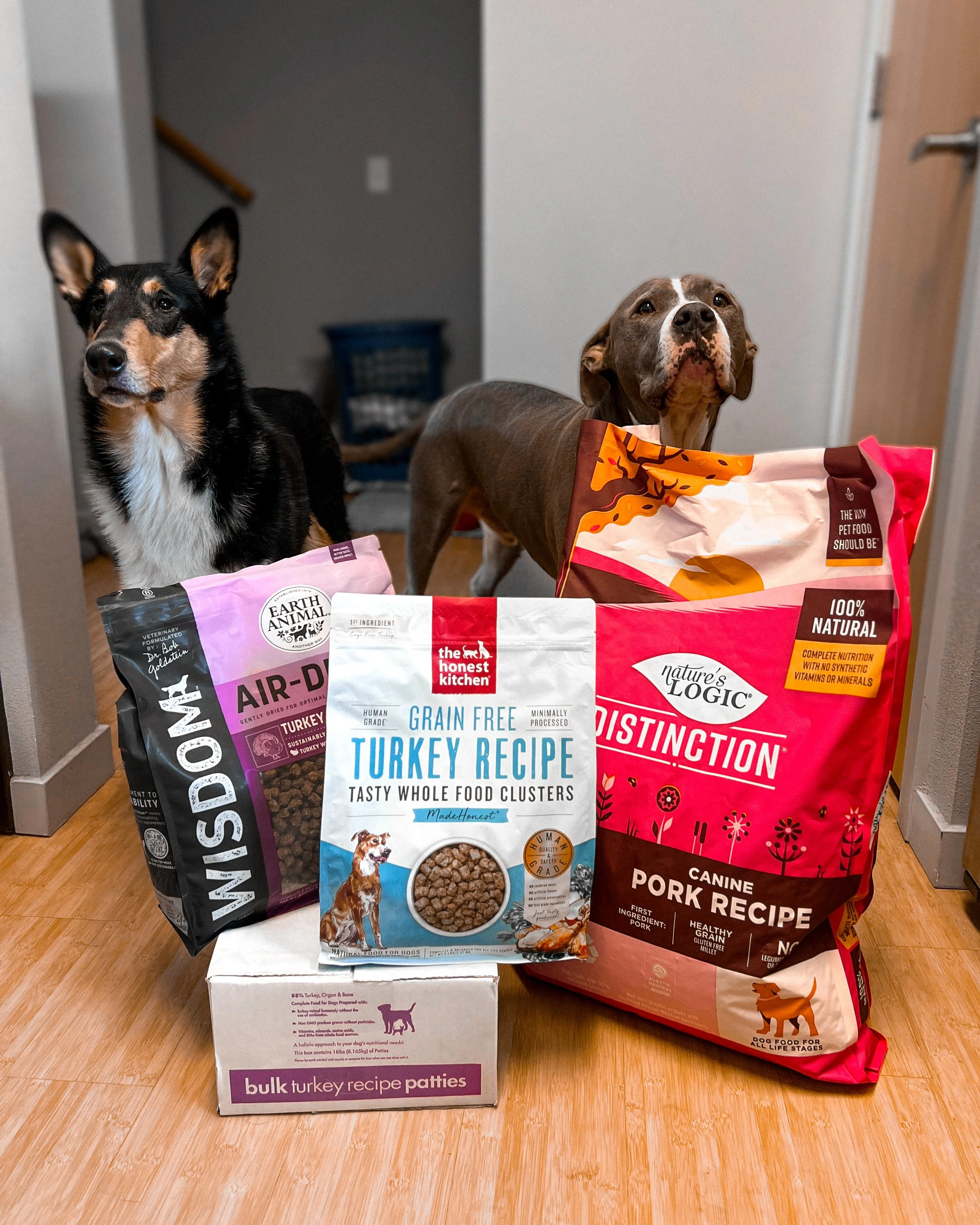 My Favorite Foods for Behavior Modification