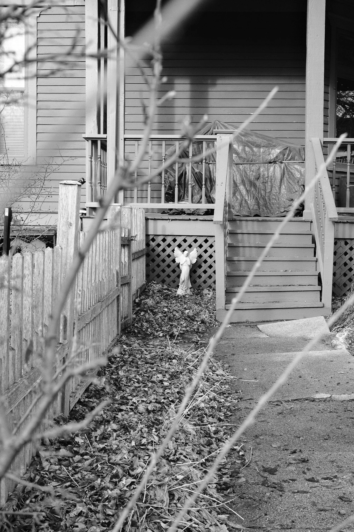 20251227 FX1V3821.jpg