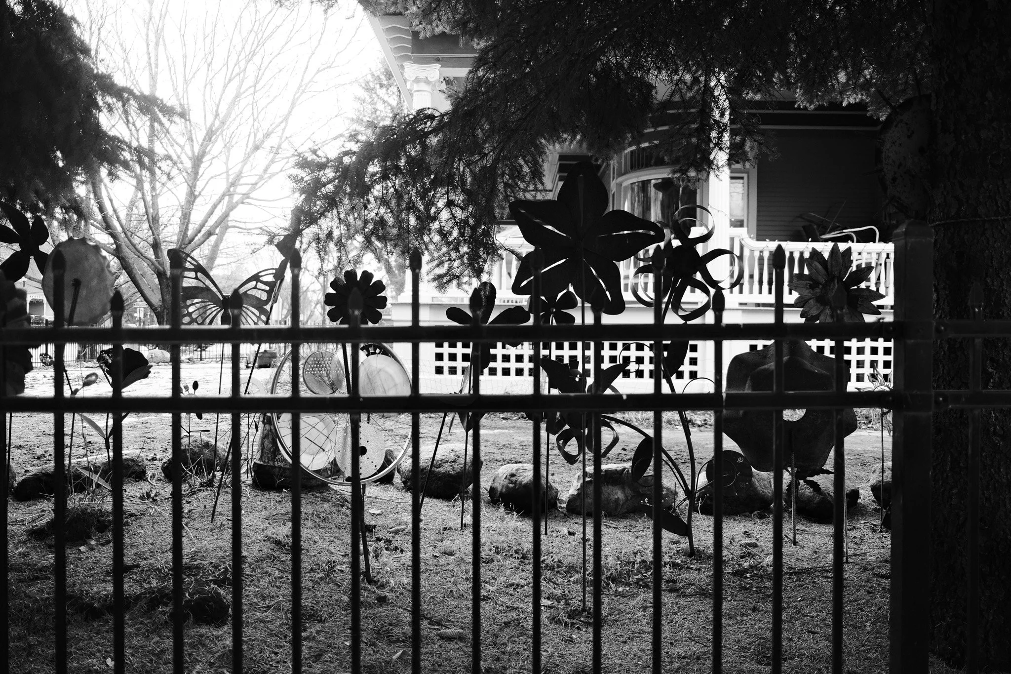 20251227 FX1V3865.jpg