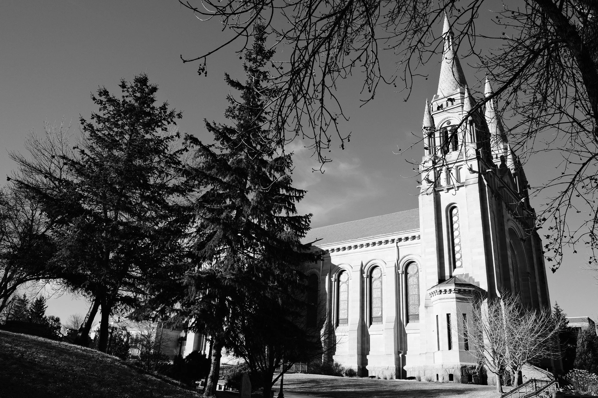 20250128 FX1V2412.jpg