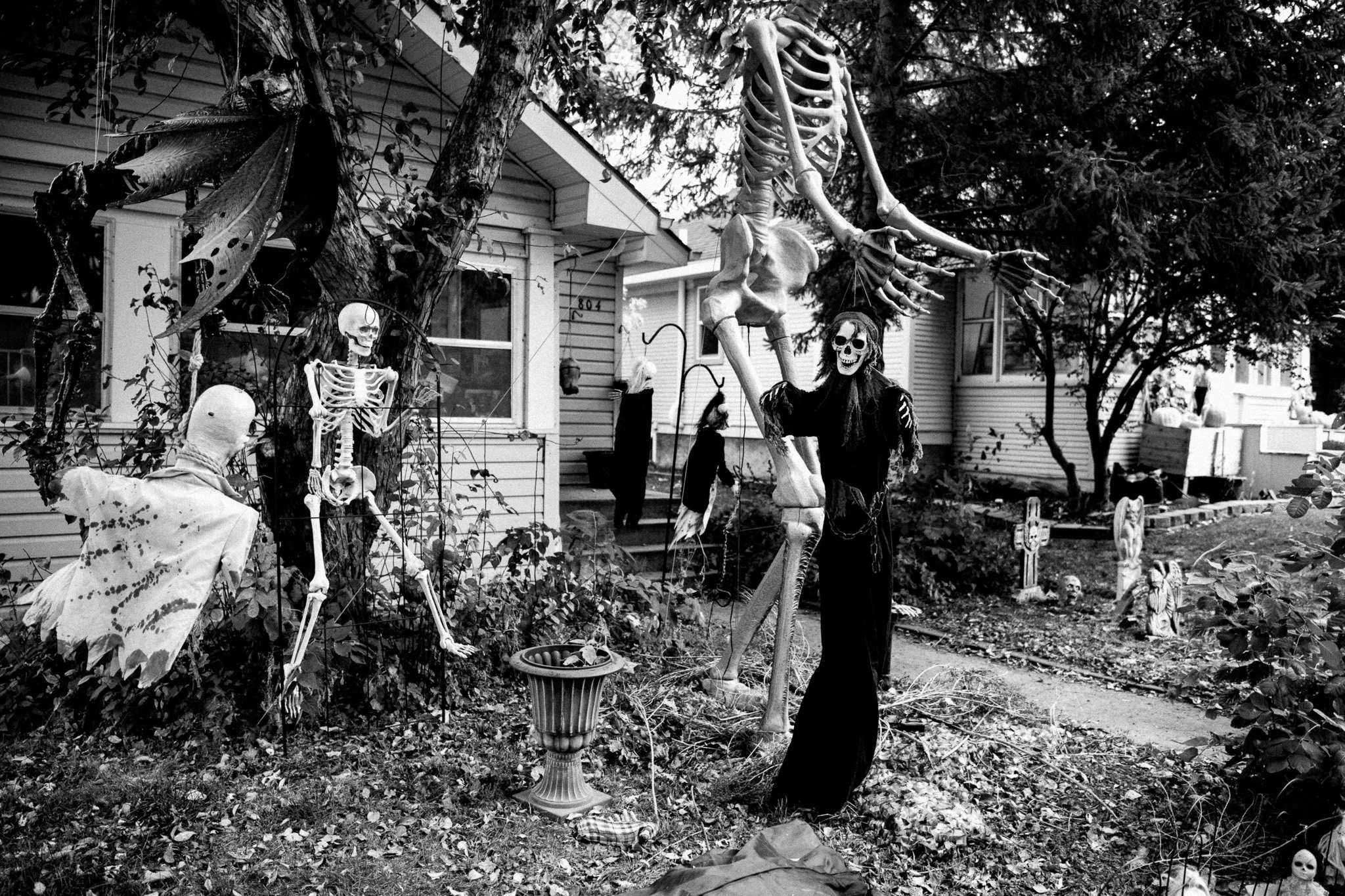 20251025 FXT55122.jpg