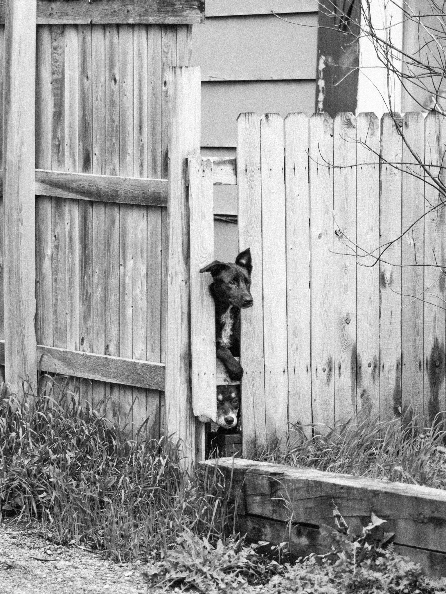 20230513 FXT51175.jpg