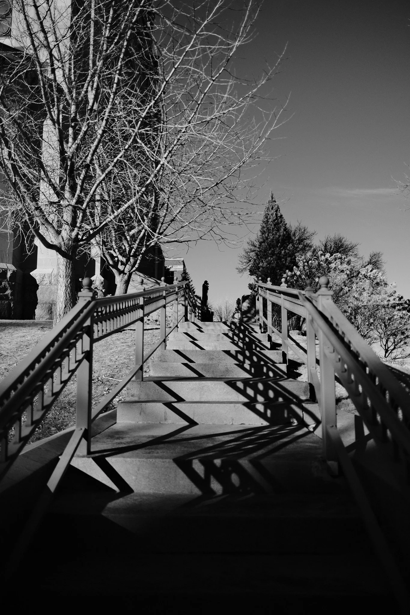 20250128 FX1V2417.jpg