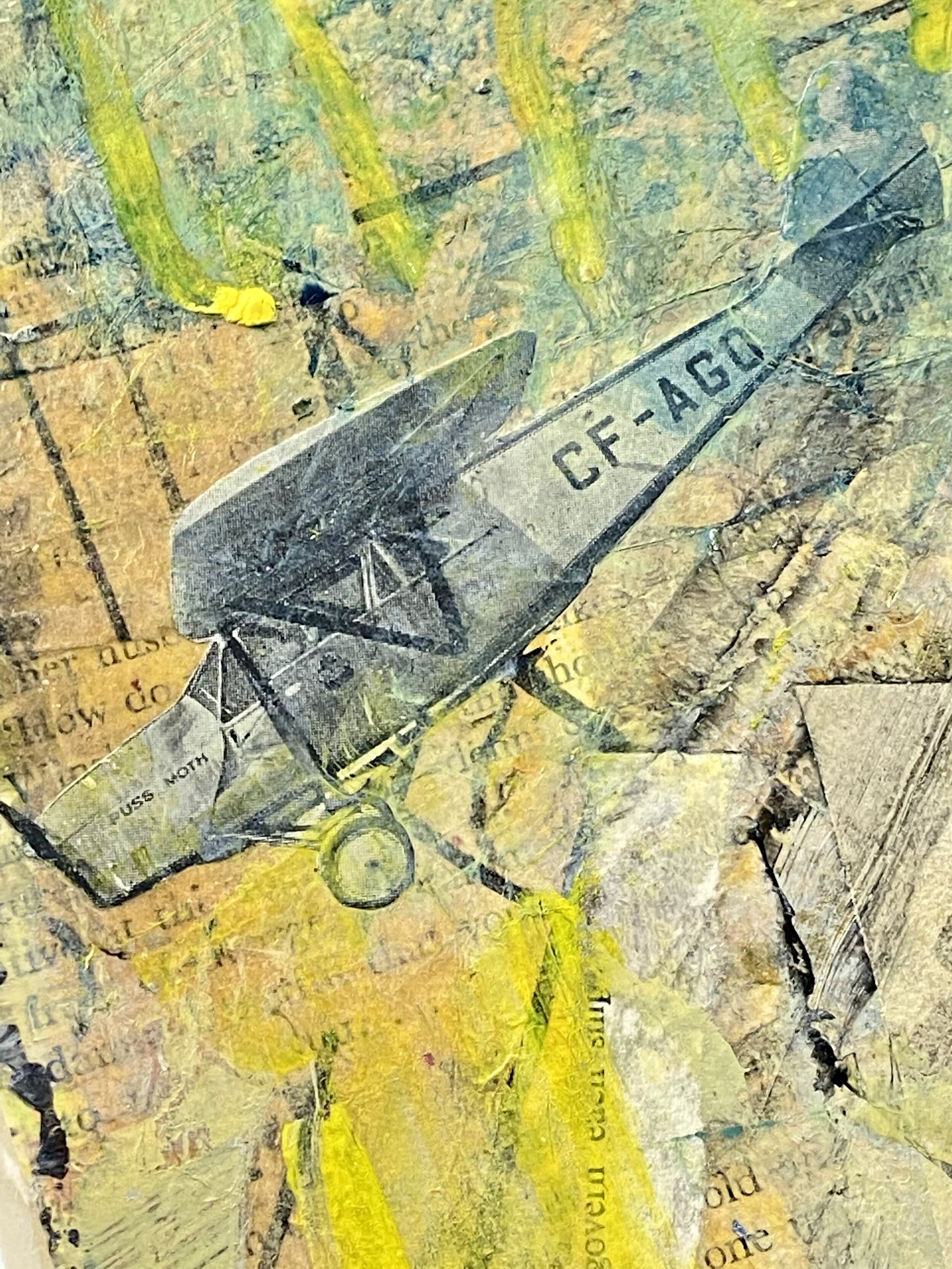 #67.1 Yellow Flight.jpeg