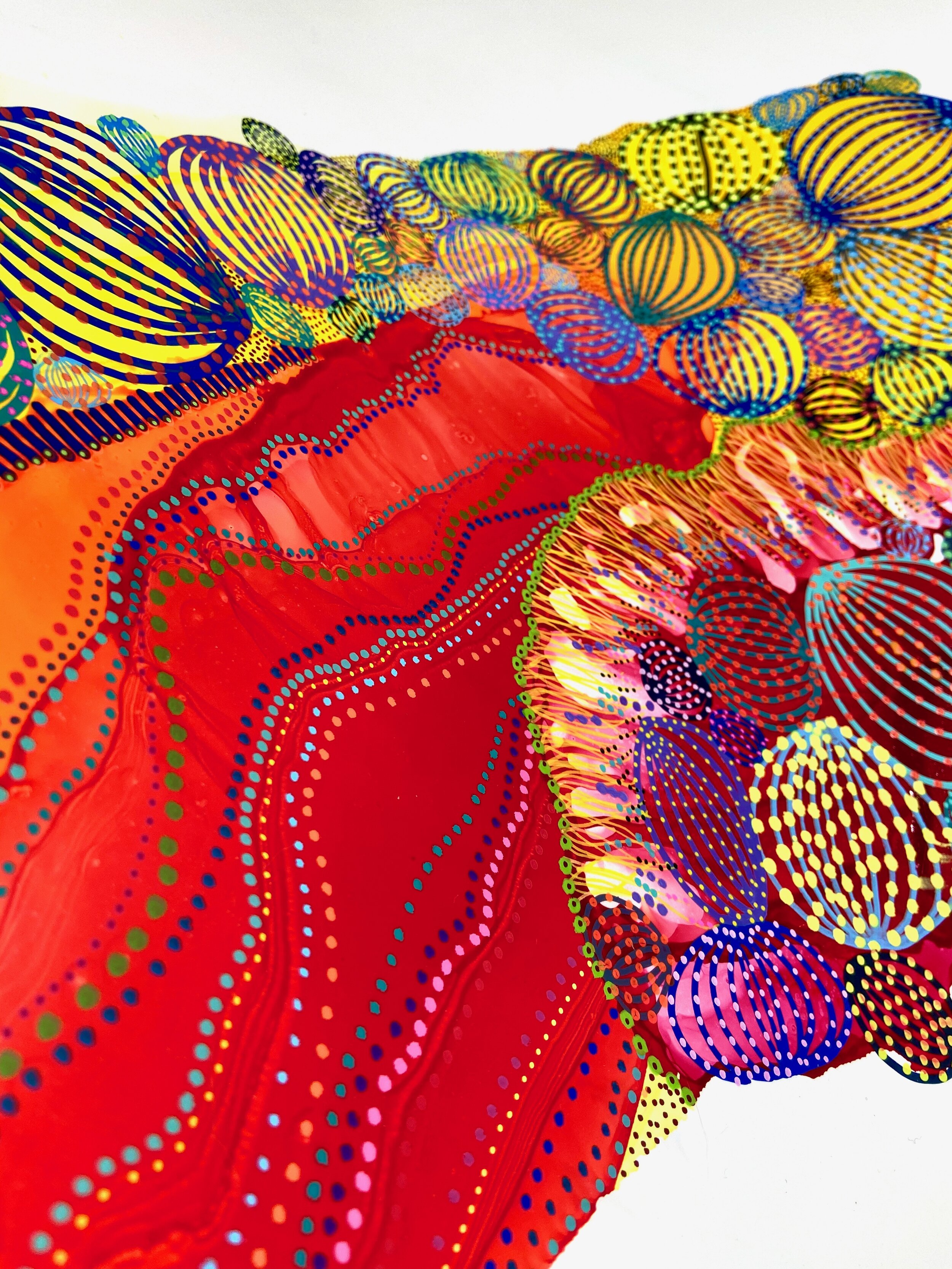 #85.1 Red Dot Coral.jpeg
