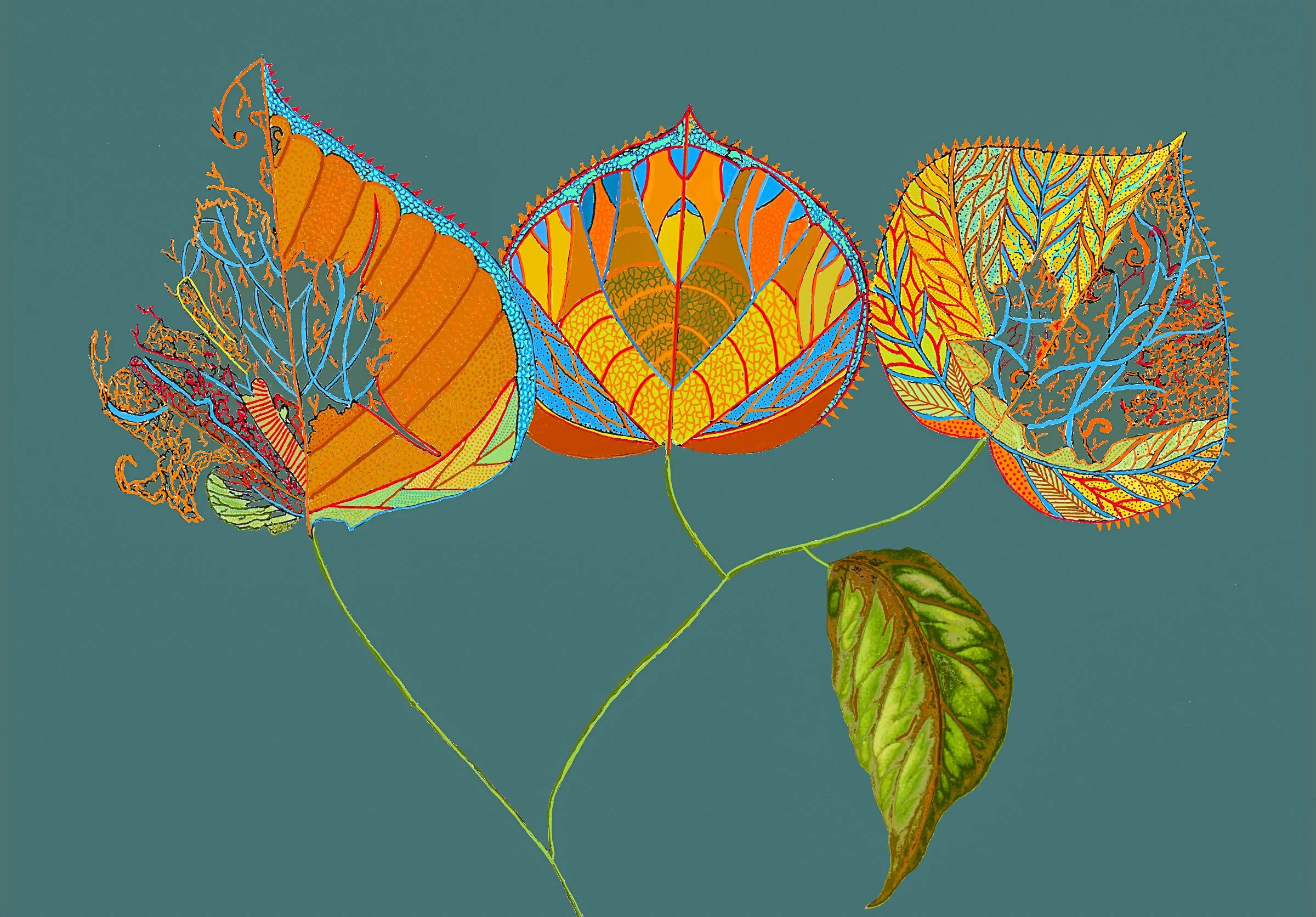 "Four Leaves" Teal Abstract Skeleton Leaves Whimsical Art Print