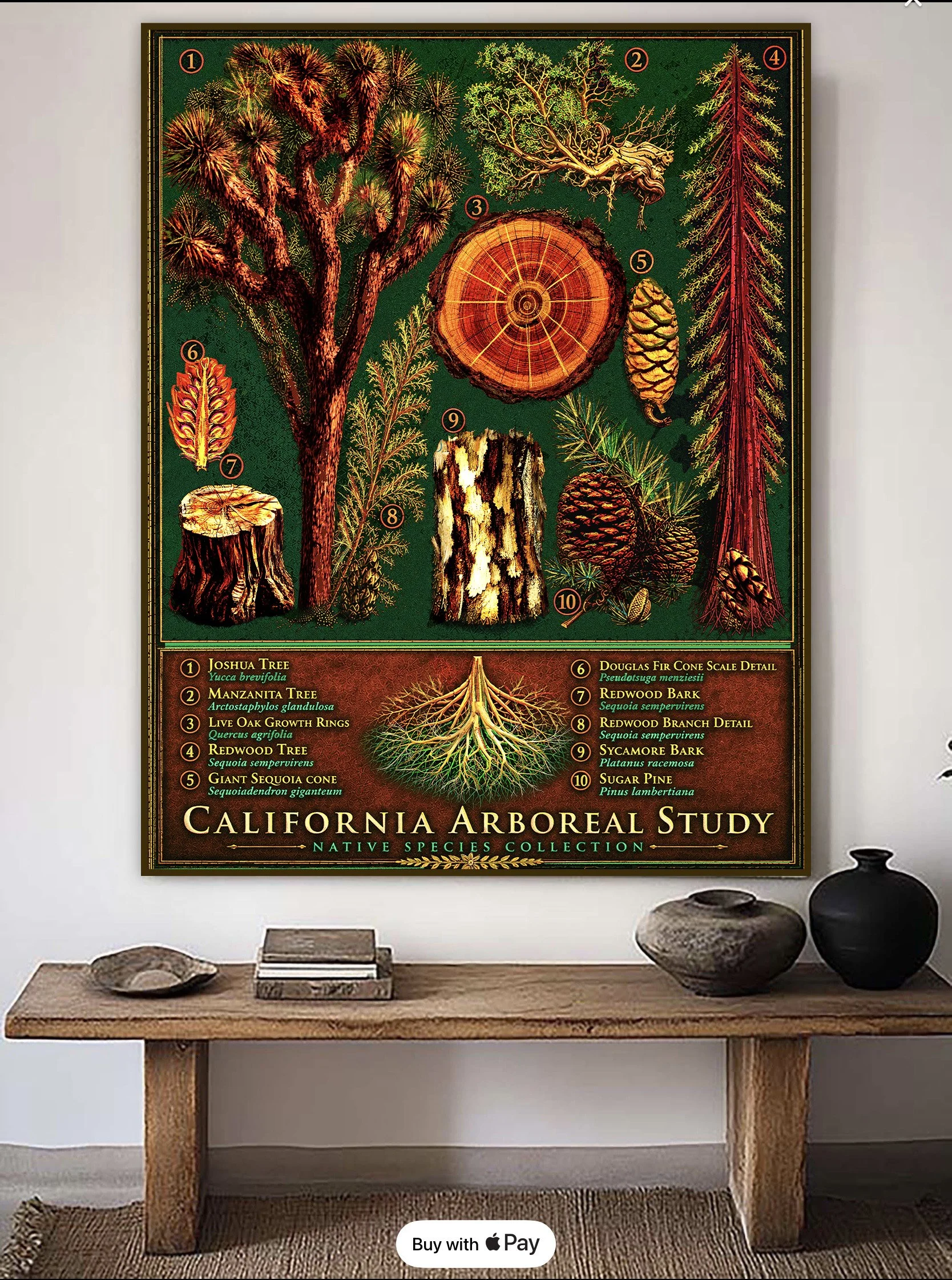 art for california arborist