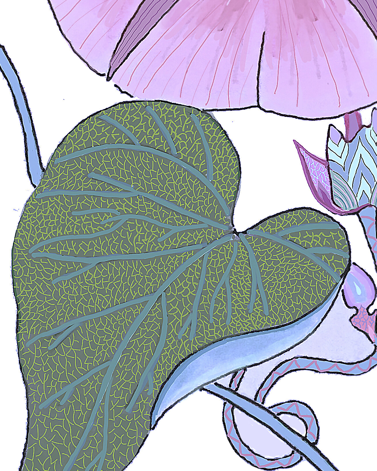 CUJuneFINALprocreate.jpg