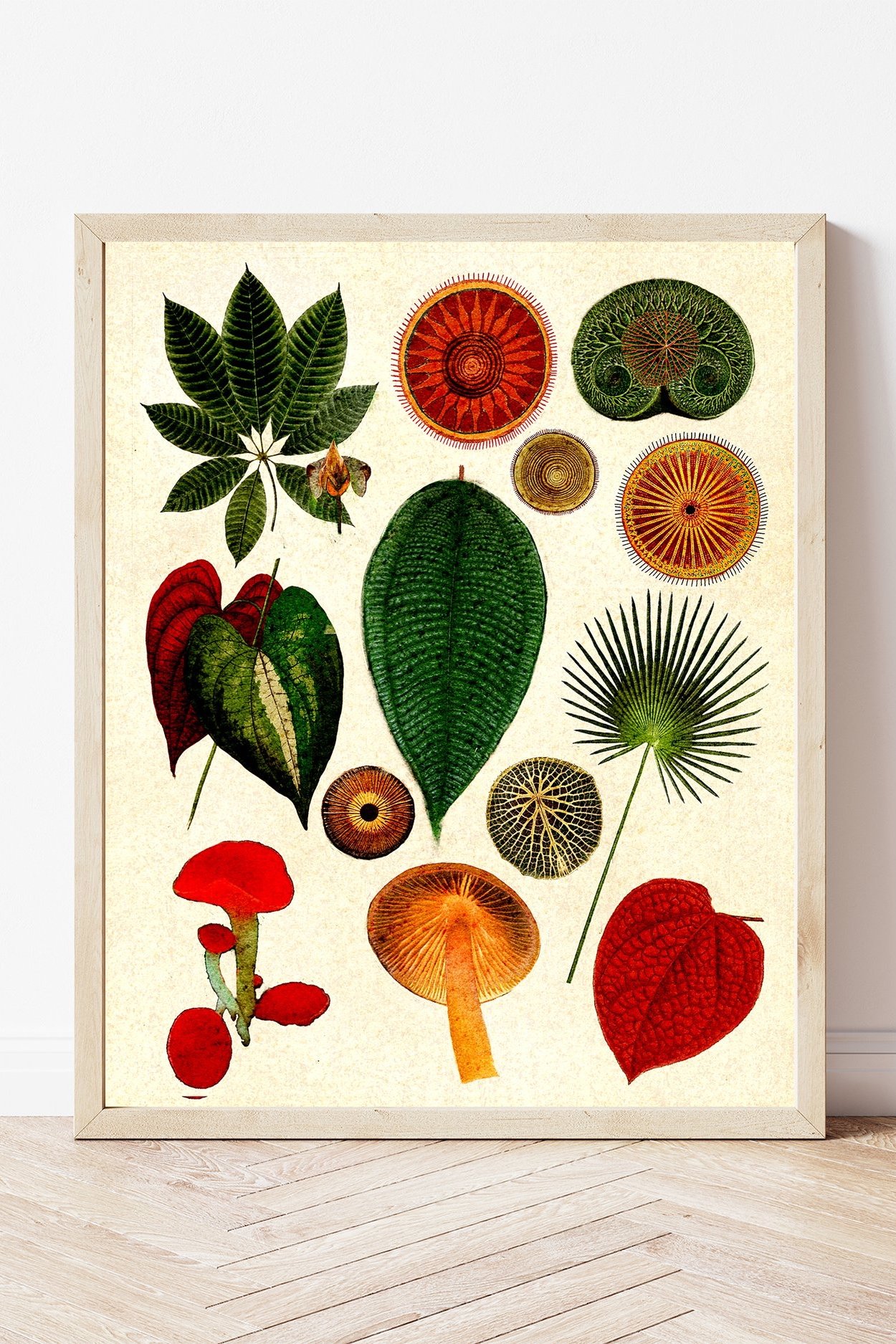 meadow+leaves+%26+mushroom+vibrant+art+print.jpg