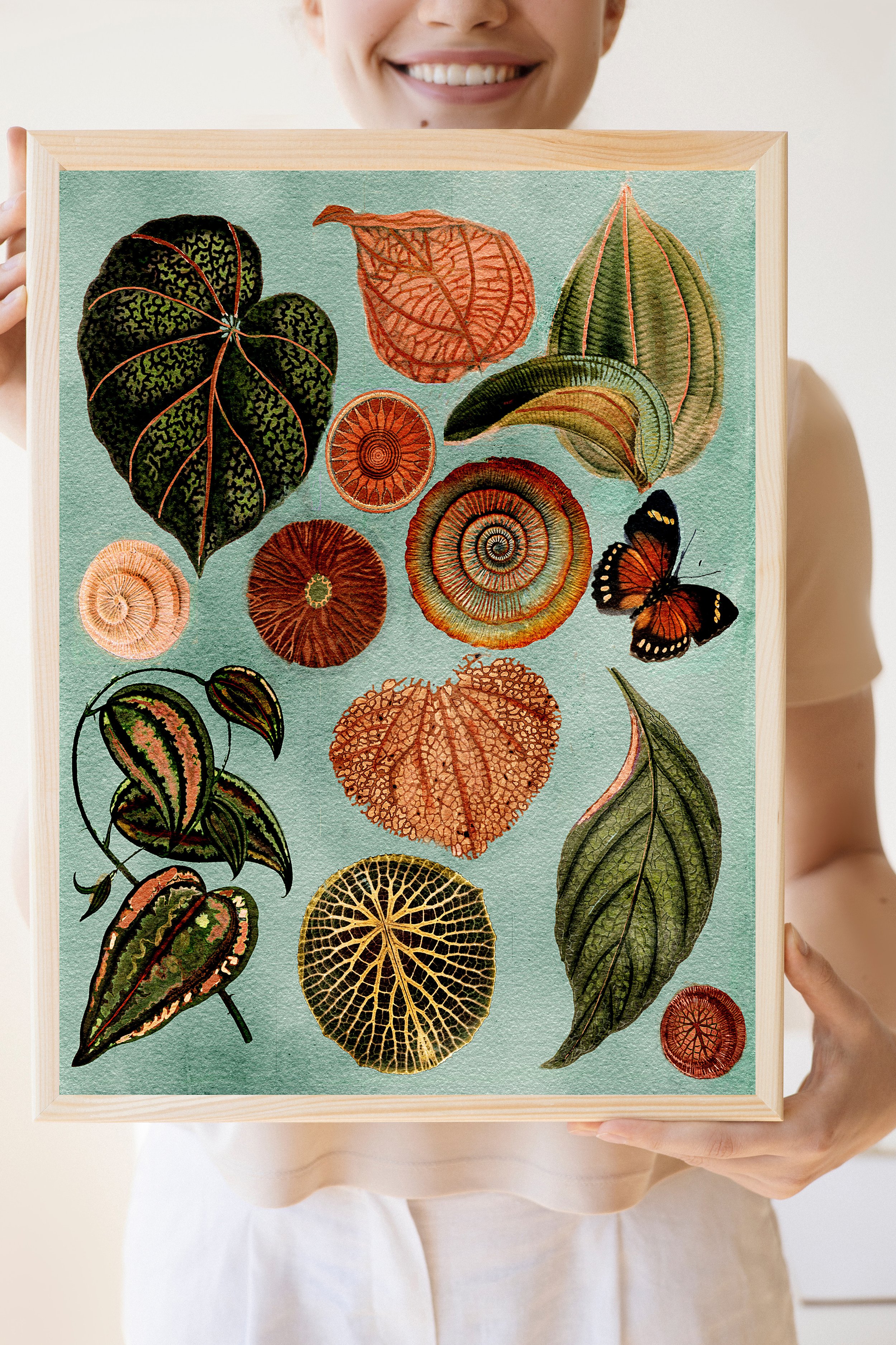 meadow art prints