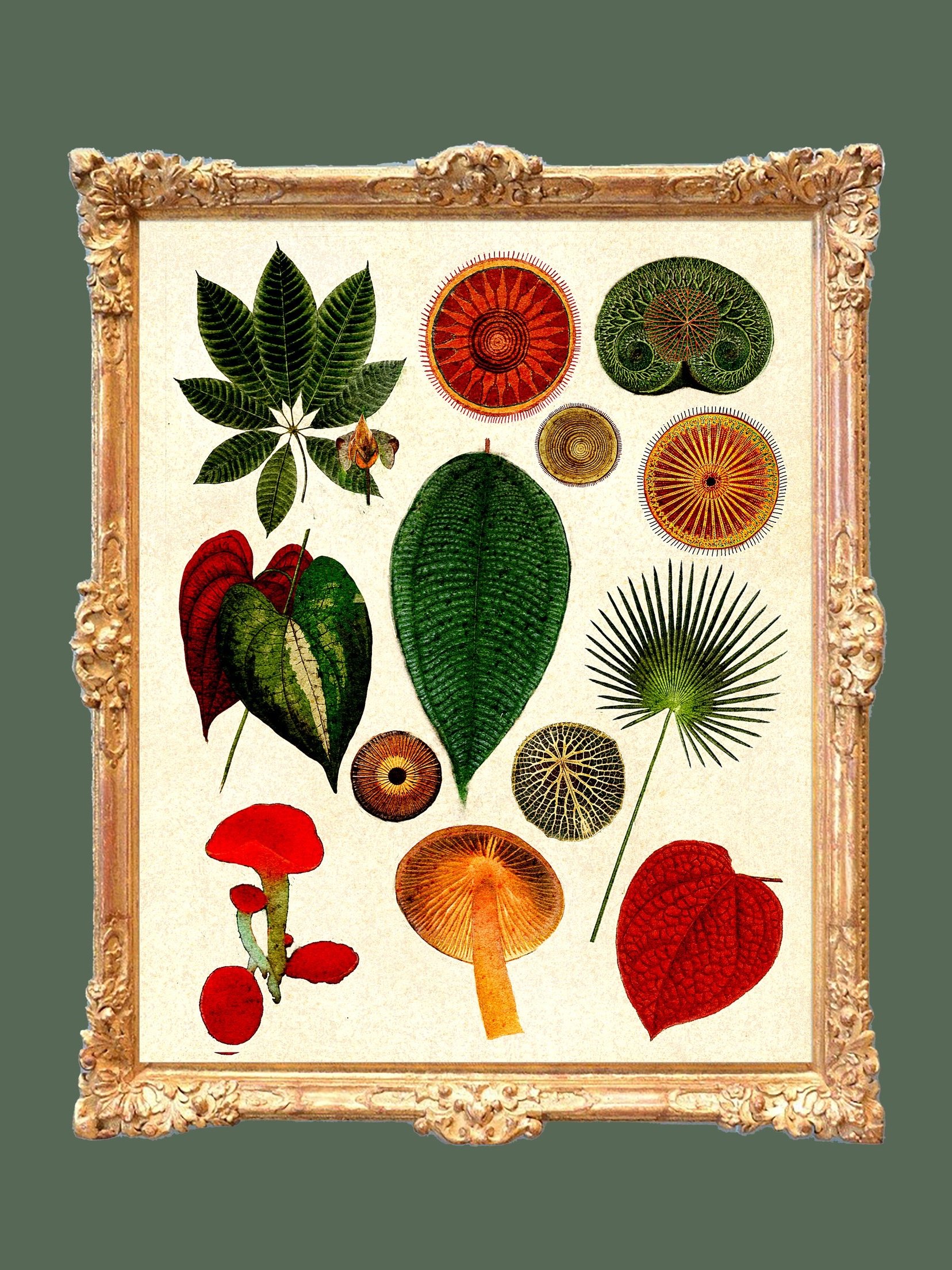 burnt orange terracotta plant prints