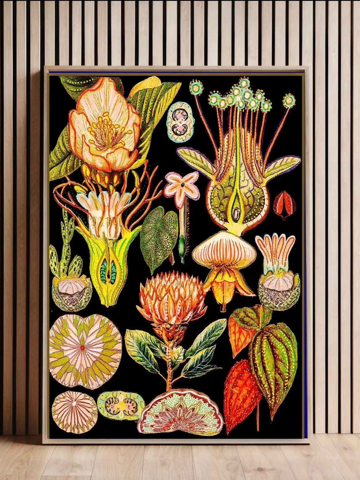 "Botanical Codex" Neo Natural Illustration | By Giovanna Nicolo