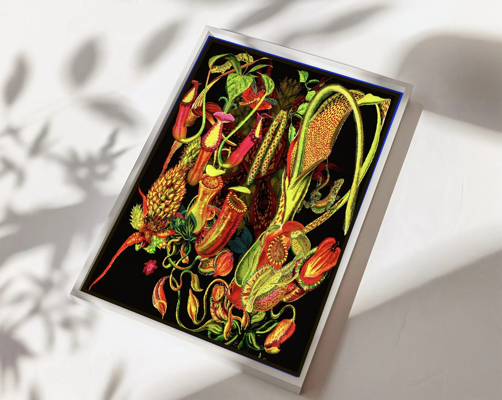 nepenthes print