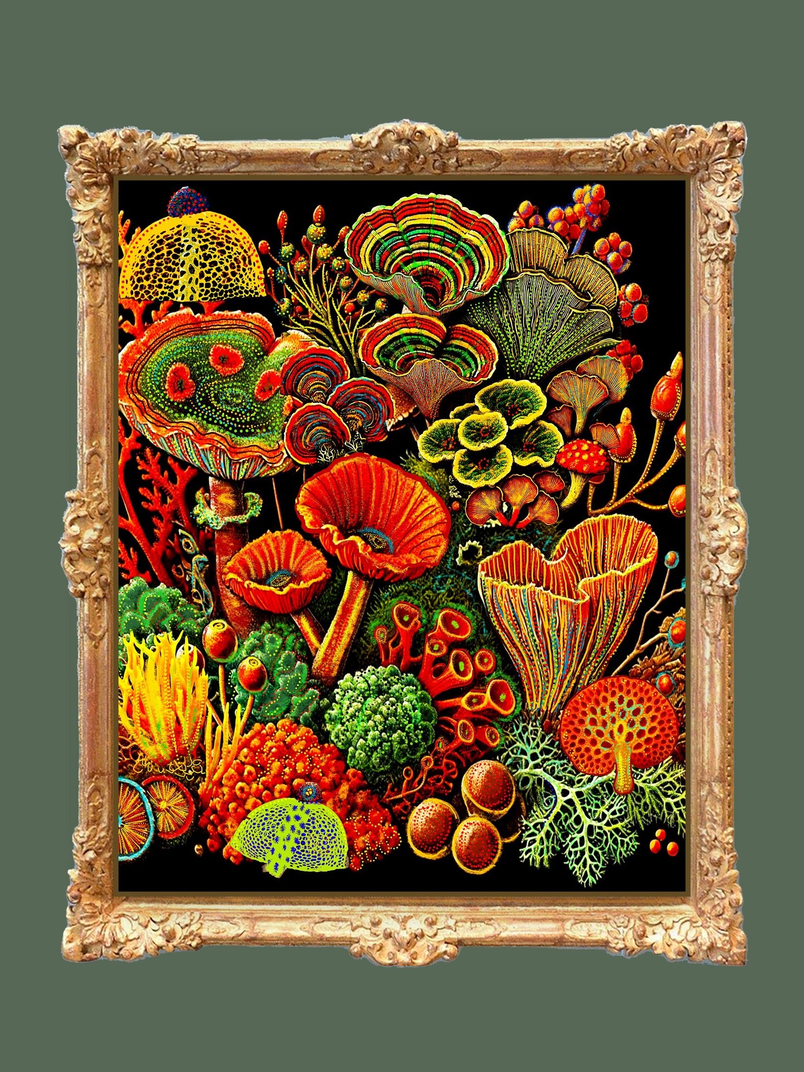 bryophytes lichen mushroom art print for sale by artist