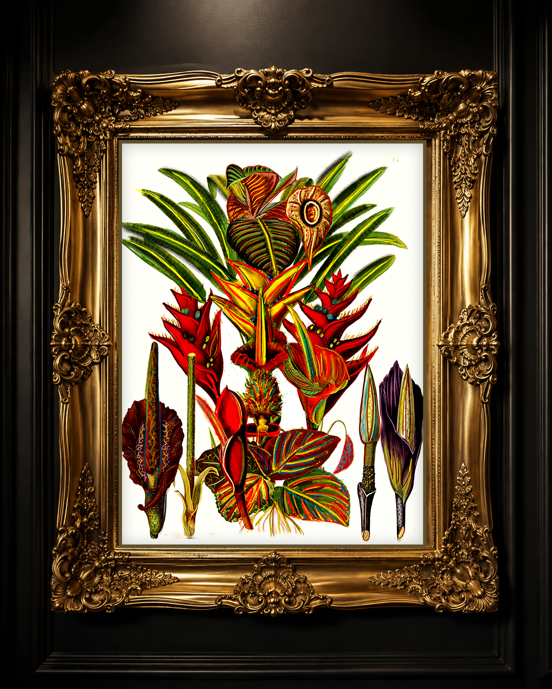 unique-retro-botanical-unique-art-print-for-sale.png