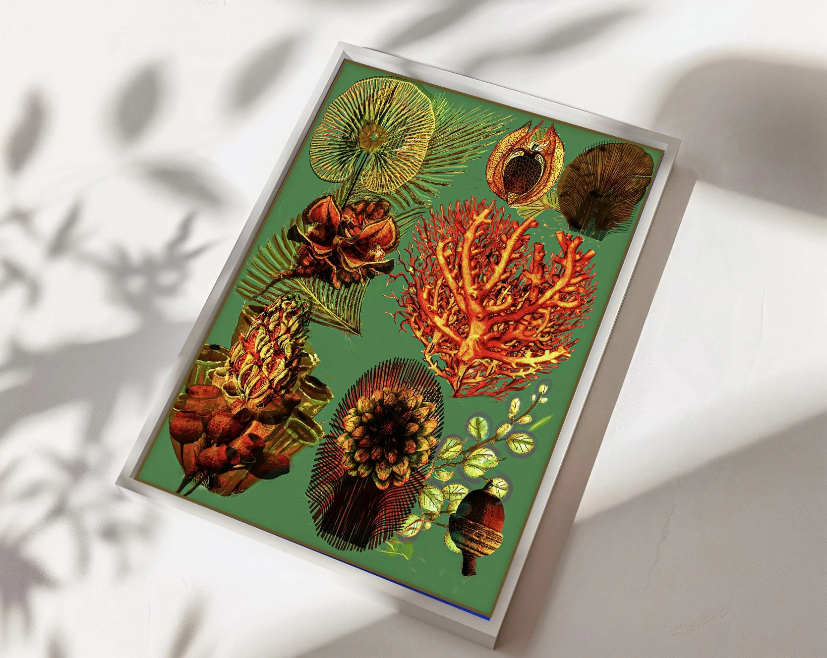 Surreal Botany : Reliquary of Tides | Neo Botanical Botany Art by Giovanna Nicolo