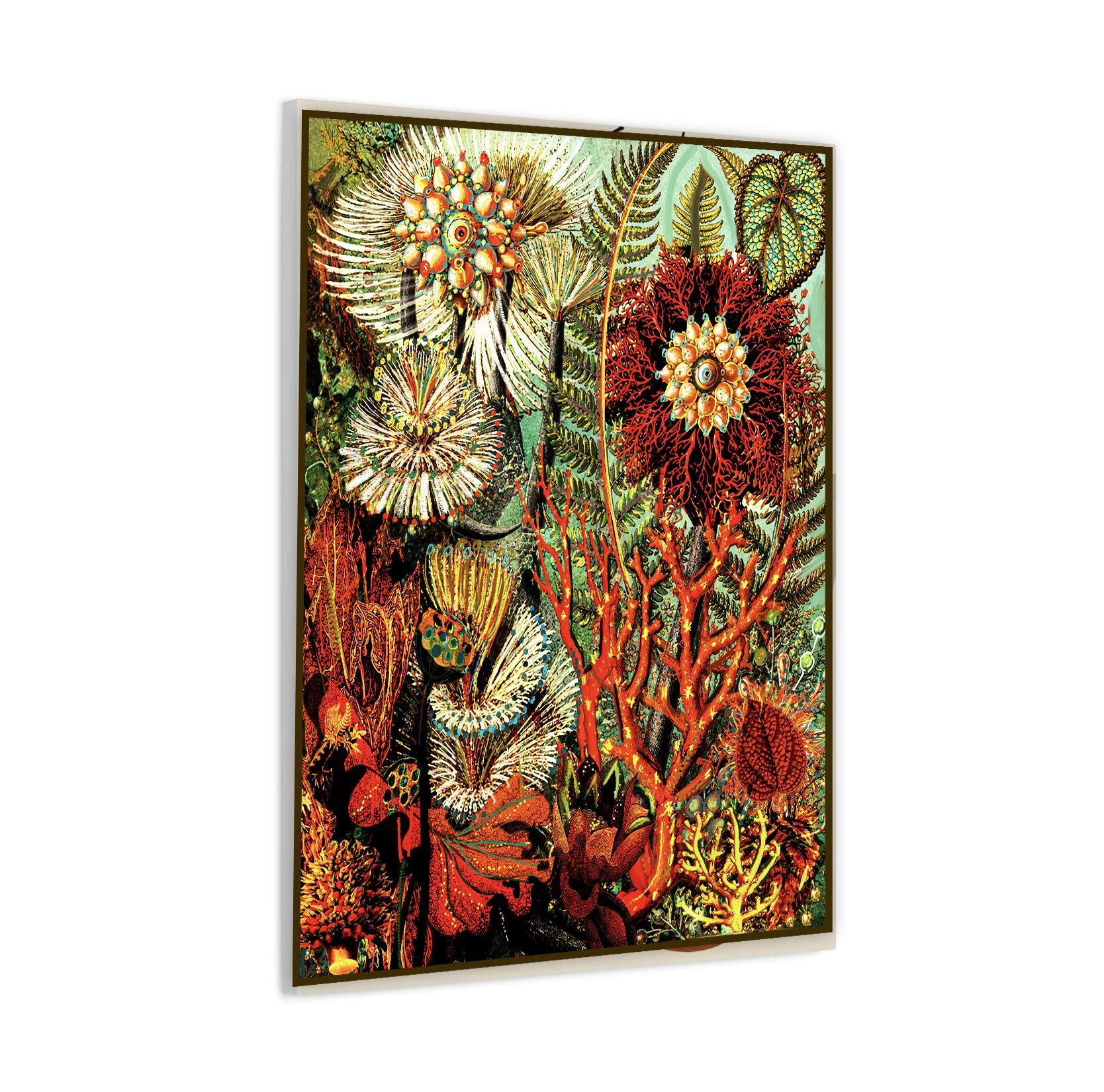 organisms-reimagined-contemporary-botanical-wall-art.jpg.jpg