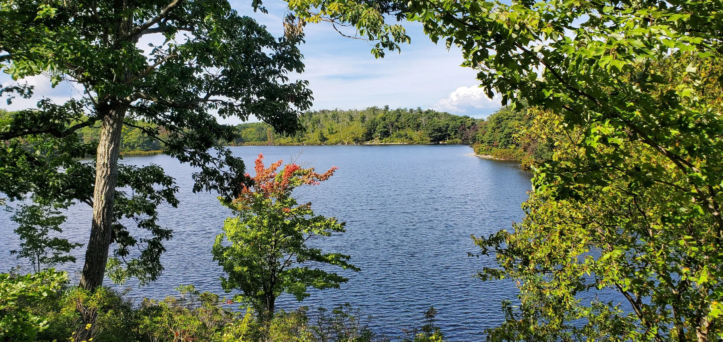 New Beginning Counseling Ministry