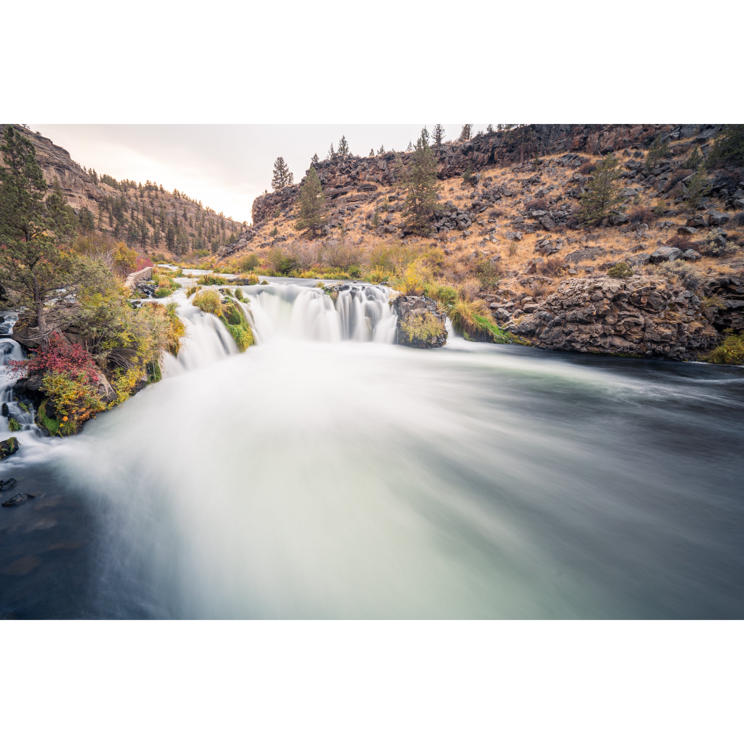 Print Images for Website-39.jpg