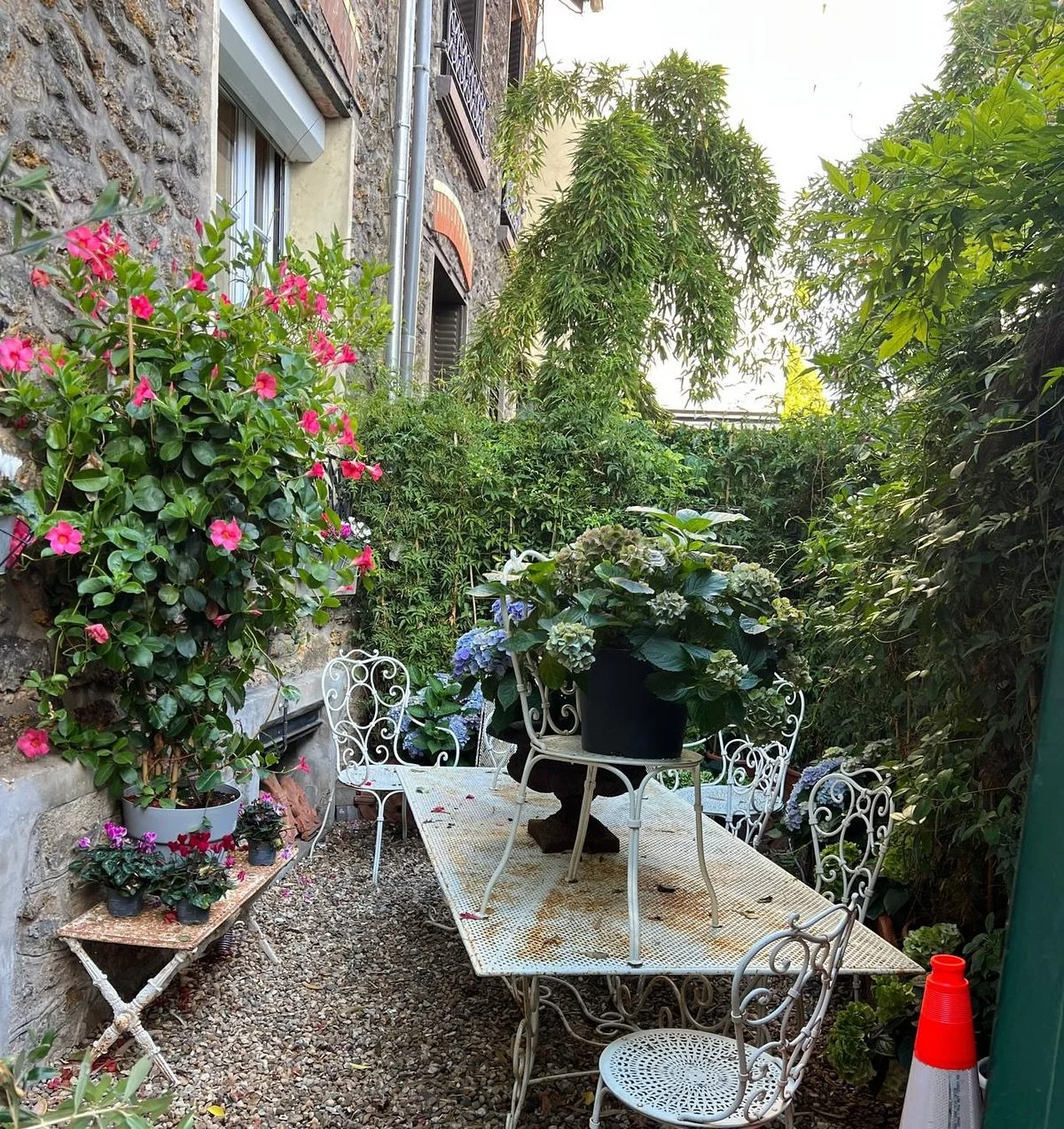 Friday florals from this pretty outdoor space @galerie at Les Puces. 😍

#FridayFlorals #ExteriorDesignInspo #GardenDesignInspo #PrettyFlorals #LesPuces #HydrangeasInBloom #Harper_Hughes_Home