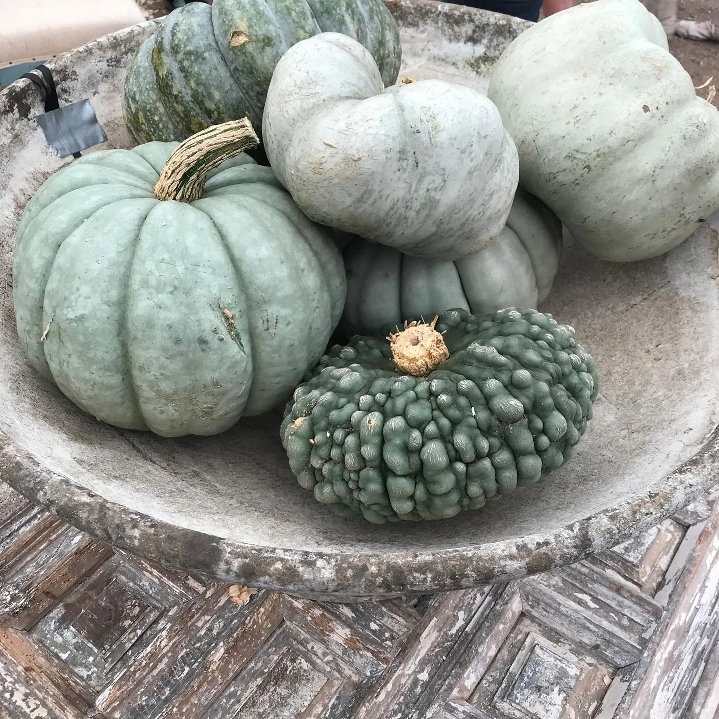 Happy Halloween! 🎃 

#HappyHalloween2025 #PumpkinsForHalloween #GreenPumpkins #Harper_Hughes_Home