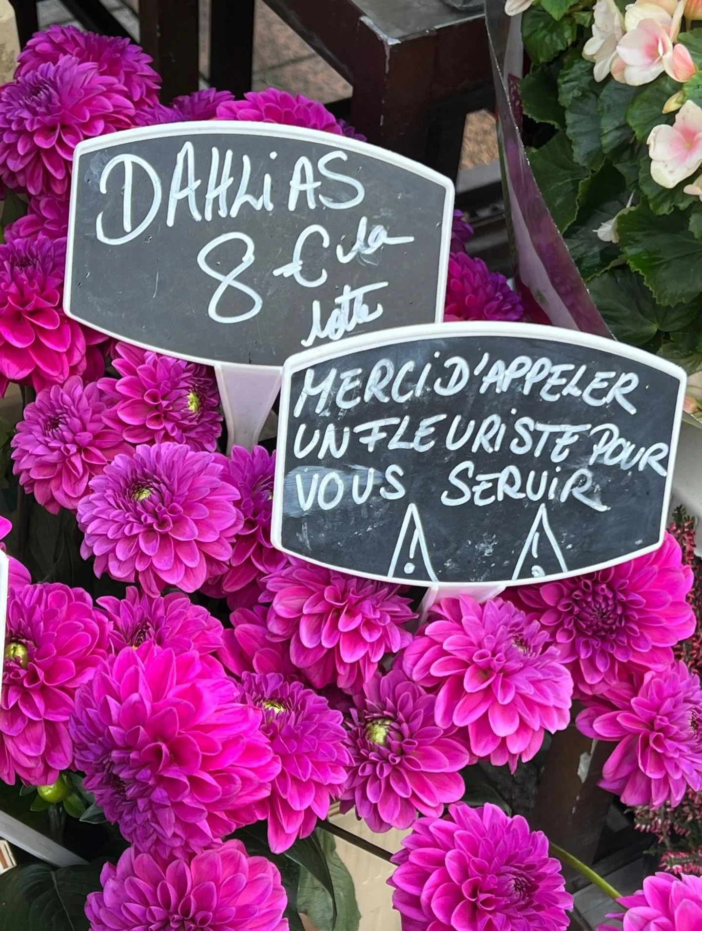 A pretty pop of pink floral color to end the week. 🩷 

#FridayFlorals #FreshFlowersFridays #Harper_Hughes_Home