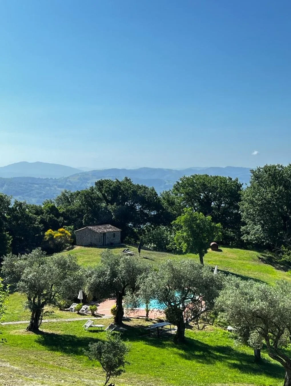 This stunning setting in Umbria was the perfect place for a painting retreat a few years back. The views and scenery were certainly inspiring! 😍

#ThrowbackThursdayPost #ThursdayThrowbacks #UmbriaItaly #Harper_Hughes_Home