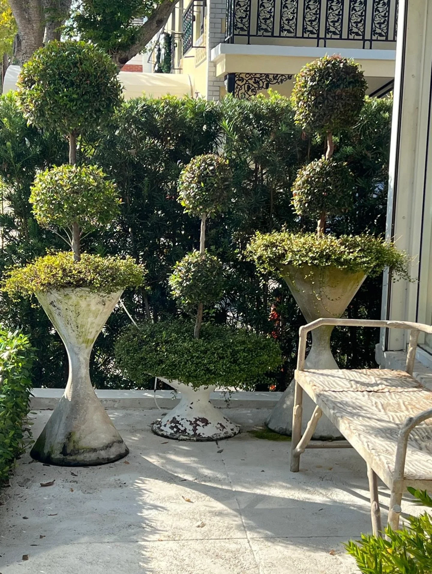 Willy Guhls and topiaries, you don&rsquo;t get much better than that! Photo taken at the beautiful @patina_collection 

#Topiaries #WillyGuhl #GardenDesignInspo #Harper_Hughes_Home