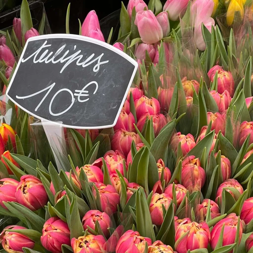 Todays&rsquo;s #FridayFlorals from Rue Cler&hellip;still thinking about Paris!

#RueCler #ParisDetails #FrenchFlowers #Harper_Hughes_Home