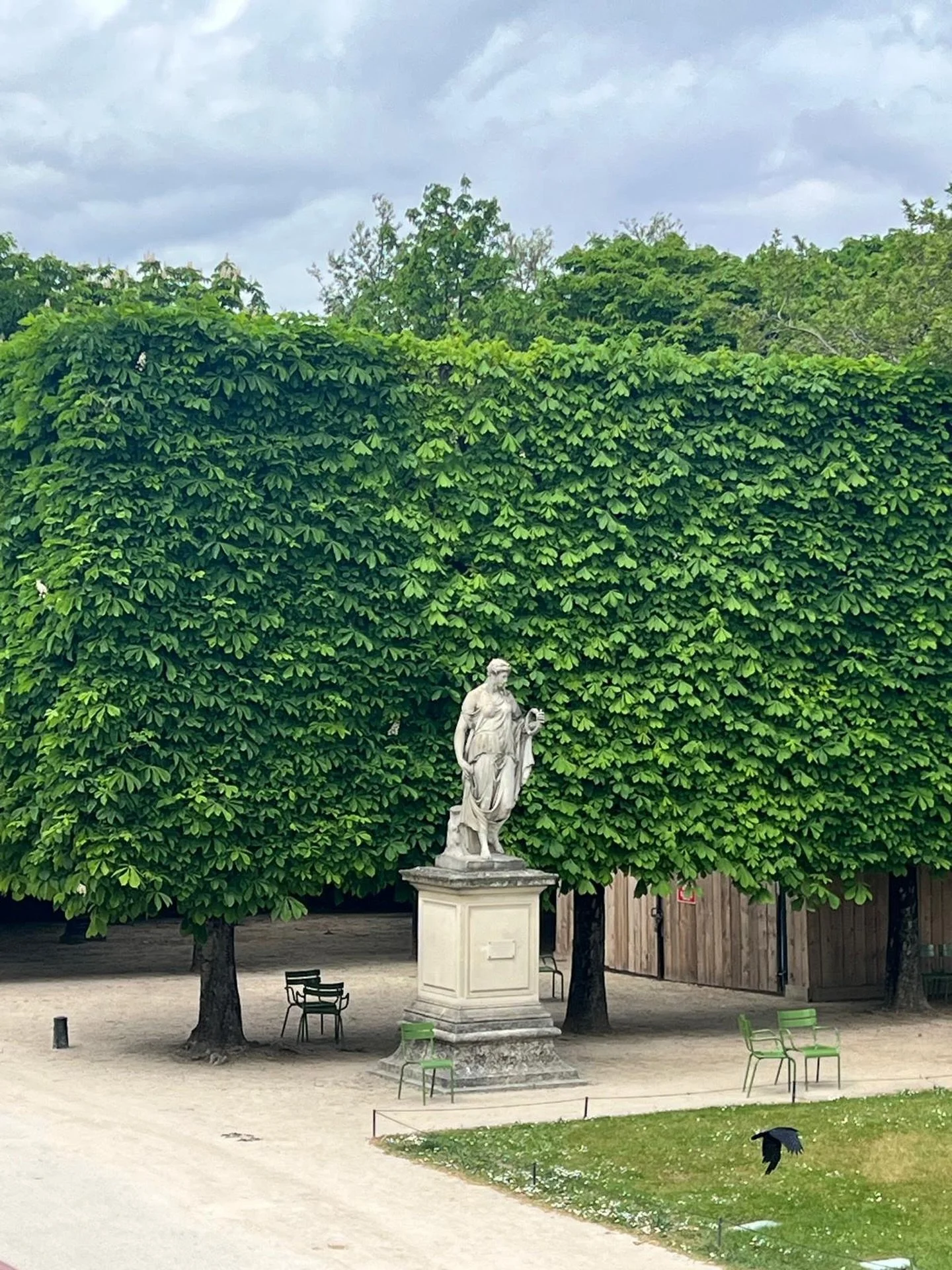 Strolling through the Jardin des Tuileries on the way to @museeorangerie - so pretty. 

#ParisGardens #ParisGrams #Harper_Hughes_Home